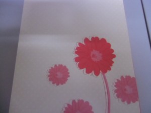 CIMG0231