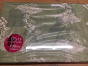 securedownload[1] (2)